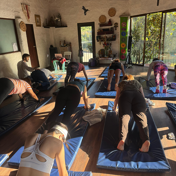 c99619a1-4983-4a55-b38b-201243b3a13e 1