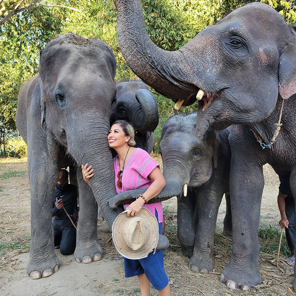 d5d7a2dc-526b-4d28-a7dc-38704268acab 1