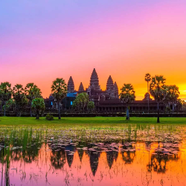 d65cf0ea-1f7e-45fe-895a-a25389fcef2c 1